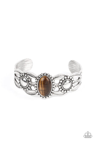 Solar Solstice - Paparazzi - Brown Tiger's Eye Silver Studded 2021 Convention Exclusive Cuff Bracelet